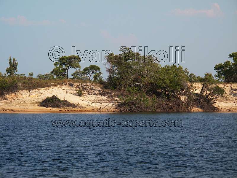 parque nacional cinaruco capanaparo